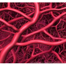 (Adenosine) -Dilate los vasos sanguíneos coronarios CAS 58-61-7 Adenosine